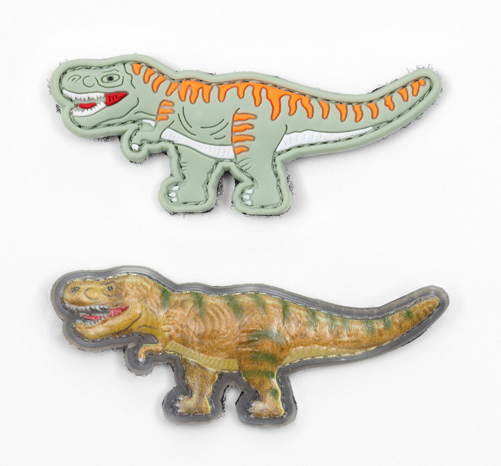 Bull Boys Dinosaur Changing Trainers