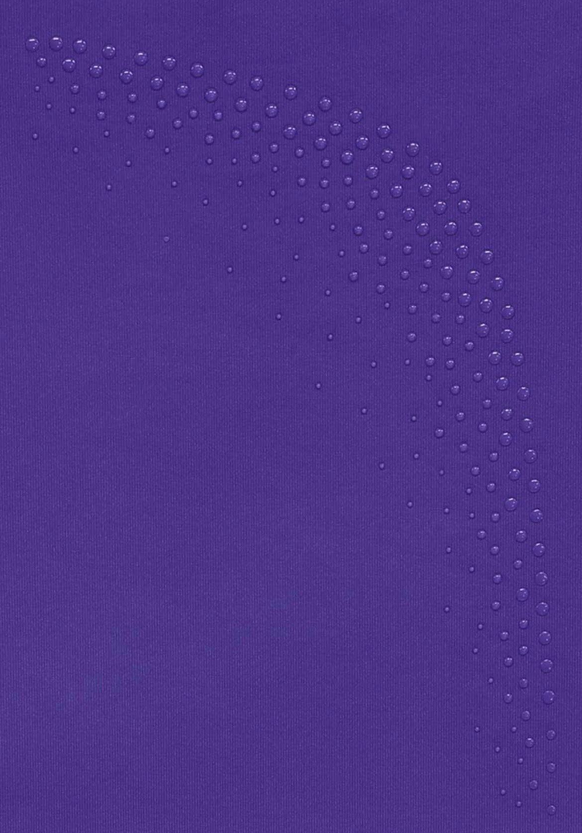 Mirella Girl’s Violet Celestia Short Sleeve Leotard