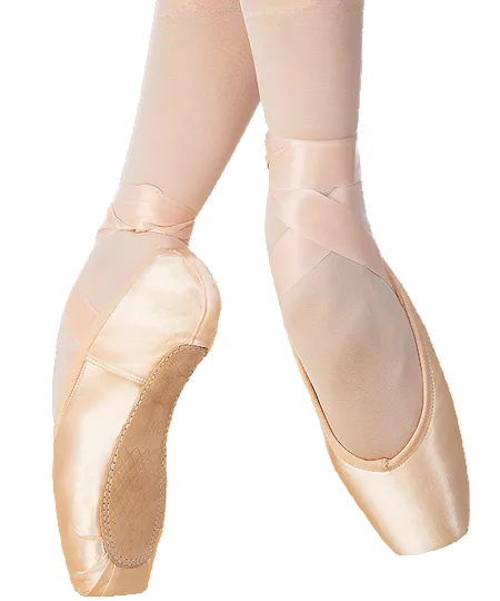 Grishko Dream Pointe