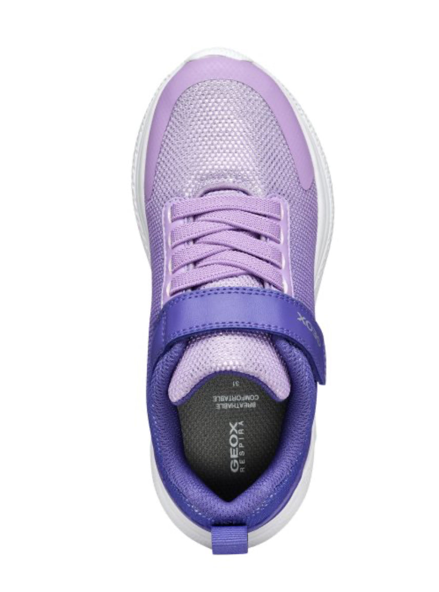 Geox J Sprintye Dark Violet/Lilac