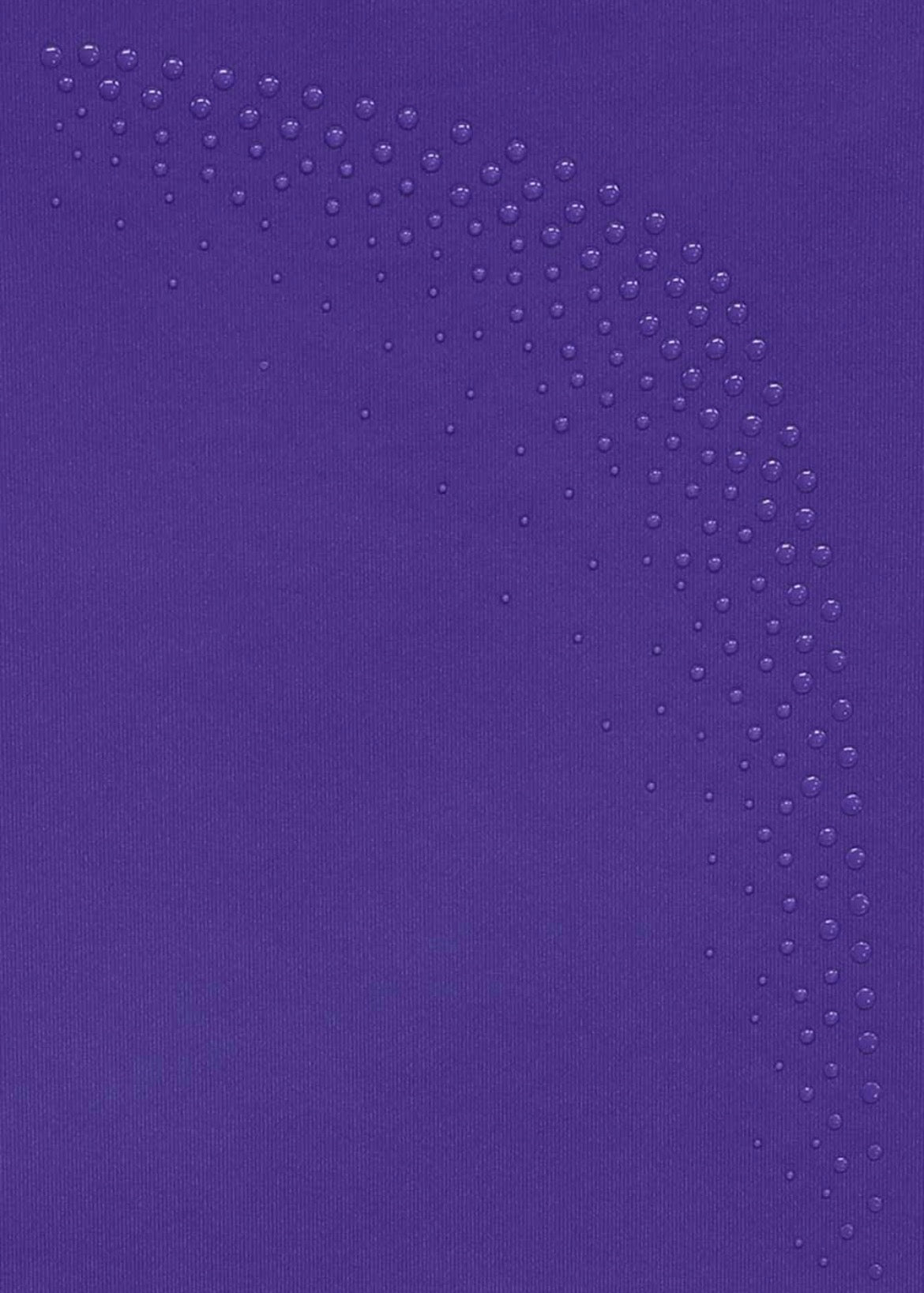 Mirella Violet Celeste Short Sleeve Leotard
