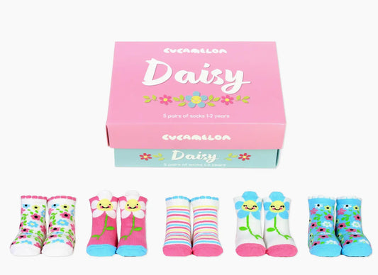 Cucamelon 5 Pair Box Daisy Socks